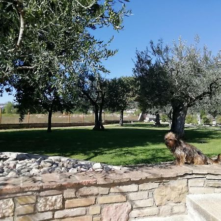 La Lanterna Di Lanfo Leilighet Assisi Eksteriør bilde